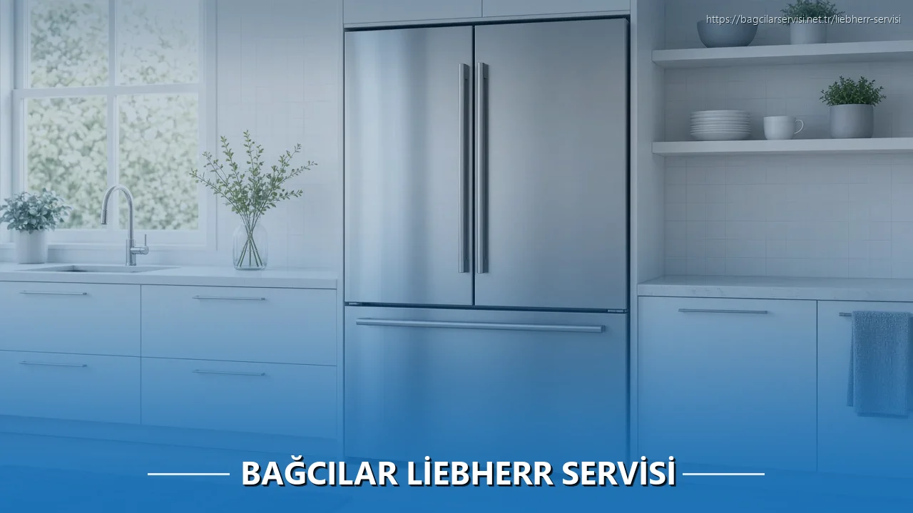 Bağcılar Liebherr Servisi